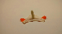 View Windshield Clip. Windshield Spacer. Windshield Stopper. Pin LOCATE Windshield (Left, Front). Full-Sized Product Image 1 of 2